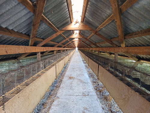 Internal view of a shed for keeping minks.