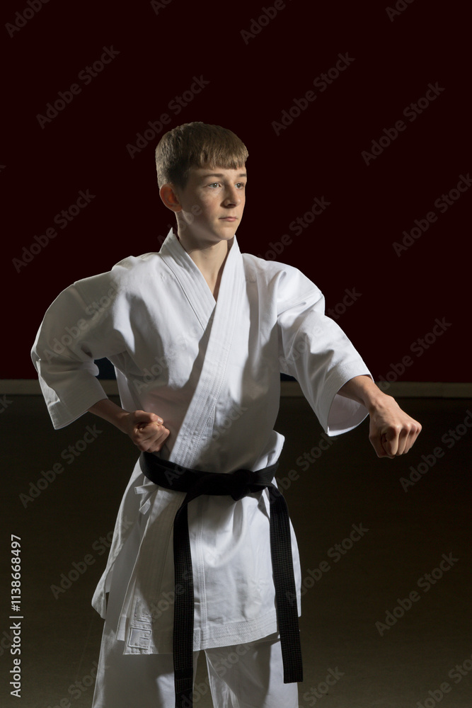 Teenage Male Karate Black Belt Teenage Male Karate Black Belt