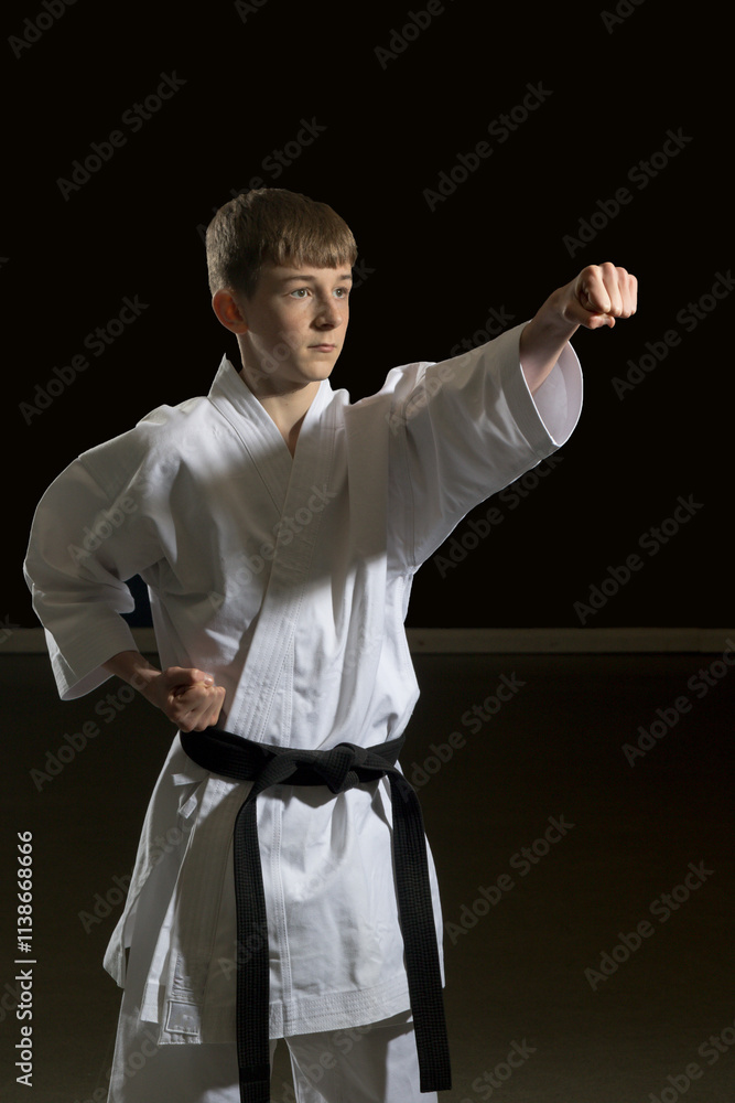 Teenage Male Karate Black Belt Teenage Male Karate Black Belt