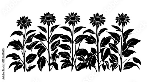 Echinacea plants growing in rows in a herb garden, Plant Digital Art