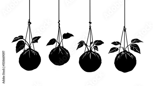 Eggplants growing from coconut coir in hanging bags with drippers, Plant Digital Art