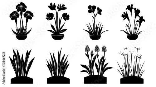 Field of iris plants with flowers at various stages, Plant Digital Art