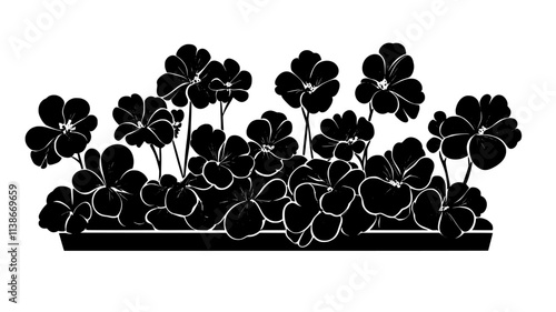 Geraniums blooming in a small flower bed along a walkway, Plant Digital Art