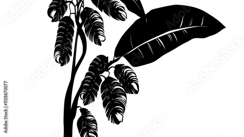 Heliconia inflorescence hanging from a stem with large leaves, Plant Digital Art