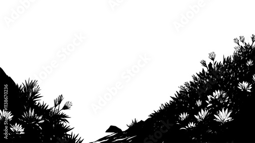 Ice plant ground cover on a coastal bluff, Plant Digital Art