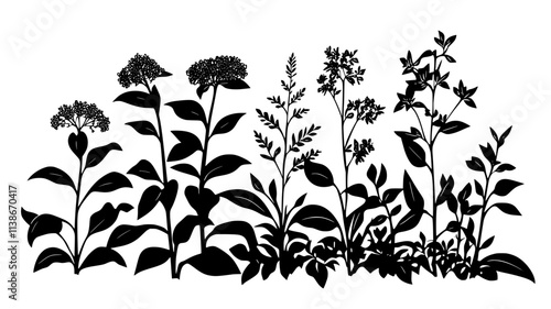 Joe-pye weed towering over other plants in a wetland garden, Plant Digital Art