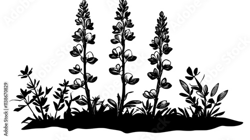 Lupine stalks rising from sandy soil near ocean dunes, Plant Digital Art