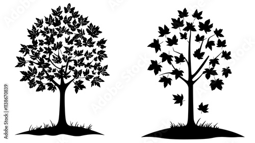 Maple tree with lobed leaves in a deciduous woodland, Plant Digital Art