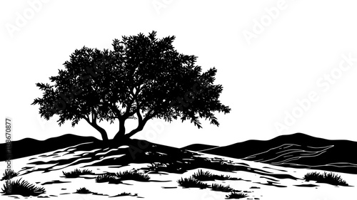 Mesquite tree providing shade in a barren landscape, Plant Digital Art