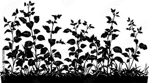 Mint plants spreading in the corner of a raised garden bed, Plant Digital Art