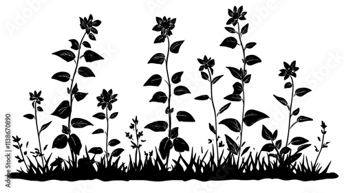 Mint plant with square stems and serrated leaves spreading widely in a garden, Plant Digital Art