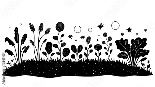 No-till vegetable plot with cover crops between seasons, Plant Digital Art