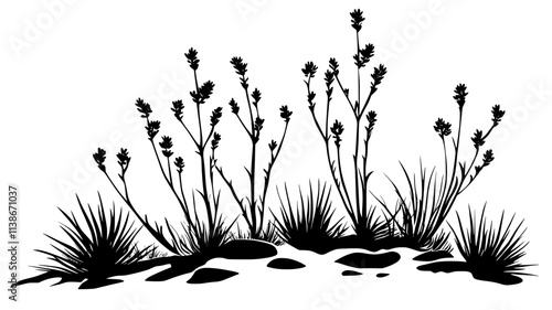 Ocotillo plants with long stems in rocky terrain, Plant Digital Art