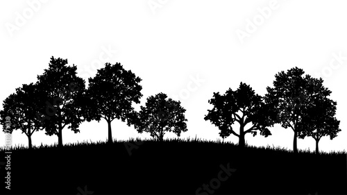 Oak woodland with mature trees harvested for hardwood lumber production, Plant Digital Art