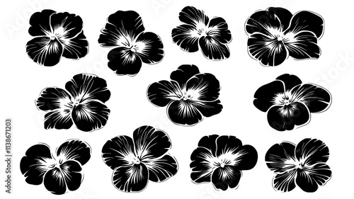 Pansies pressed onto the surface of shortbread cookies, Plant Digital Art