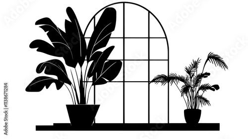 Peacock plant with striped leaves in a conservatory setting, Plant Digital Art