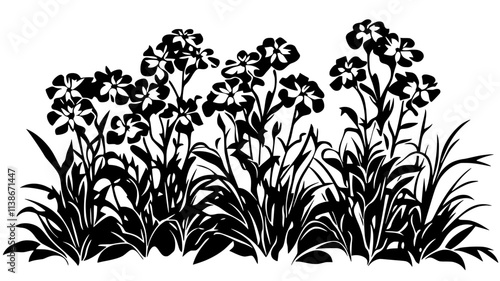 Phlox with dome-shaped flower clusters in a country garden, Plant Digital Art