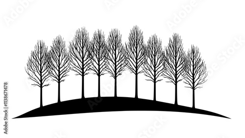 Poplar trees in rows grown for fast-growing timber production, Plant Digital Art