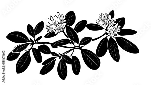 Rhododendron bush with large, glossy leaves and clusters of pink flowers in bloom, Plant Digital Art