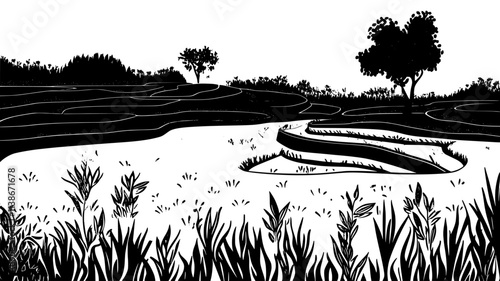 Rice paddies with plants growing in flooded terraces, Plant Digital Art