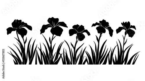 Row of Siberian irises growing along a garden pathway, Plant Digital Art