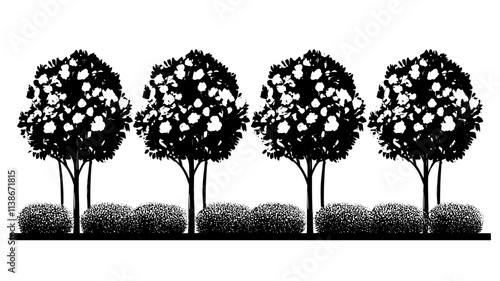 A row of pruned rose bushes neatly arranged in a formal garden, Plant Digital Art