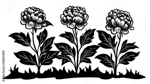 Row of tree peonies growing in a landscaped flower bed, Plant Digital Art