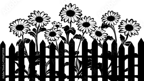 Shasta daisies lining an informal border along a white picket fence, Plant Digital Art