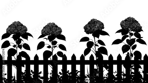 Several panicle hydrangea blooms growing along a rural fence line, Plant Digital Art