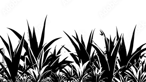 Sisal plants with sword-like leaves in a plantation for fiber extraction, Plant Digital Art