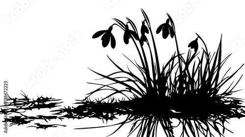 Snowdrops emerging from frozen ground in early spring, Plant Digital Art