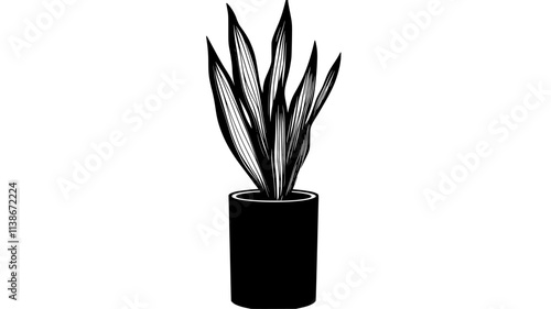 Snake plant with striped leaves in a tall cylindrical planter, Plant Digital Art