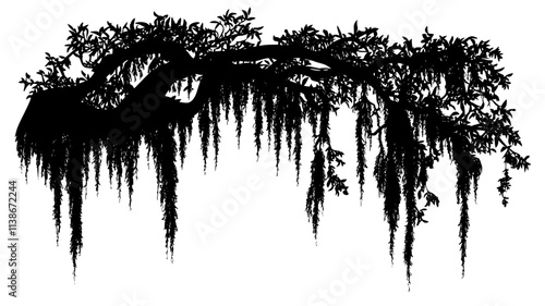 Spanish moss draping from live oak tree branches, Plant Digital Art