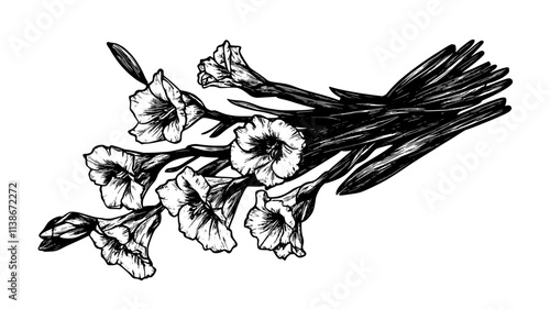 Spray of gladiolus stems laying across closed casket lid, Plant Digital Art