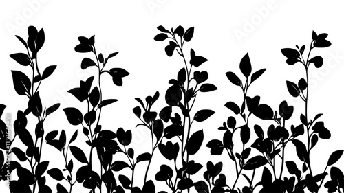 Sweet pea tendrils climbing up a garden obelisk, Plant Digital Art