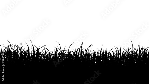 Switchgrass field stretching to the horizon for ethanol production, Plant Digital Art