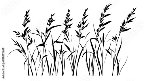 Switchgrass with tall stems and airy seed heads swaying in a breezy field, Plant Digital Art