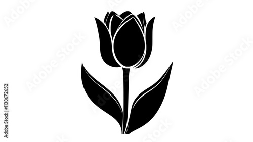 Tulip flower head viewed from above showing petal arrangement, Plant Digital Art