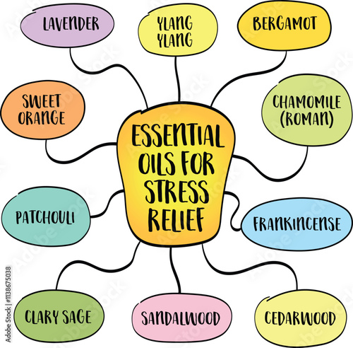 Essential oils to diffuse for stress relief, mind map infographics sketch.