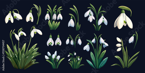 Cartoon snowdrops. Cute white flowers, springtime seasonal march blooming first flower on stem in winter snow, easter herb botanical collection vector illustration