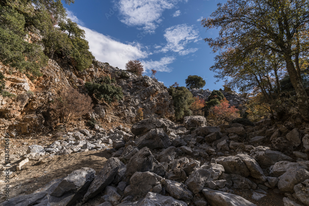rural path in the moutains of crete rural path in the moutains of crete