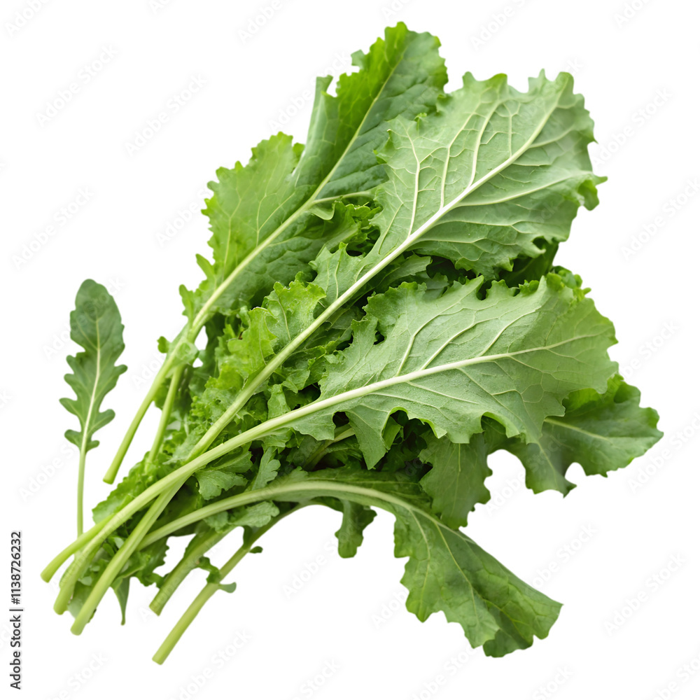 raw green organic baby kale on transparent background raw green organic baby kale on transparent background