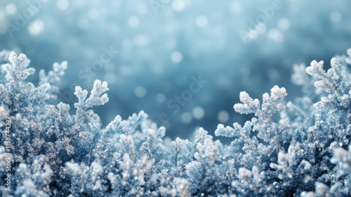 Frosty snowflakes delicately surround a tranquil blue background highlighting...