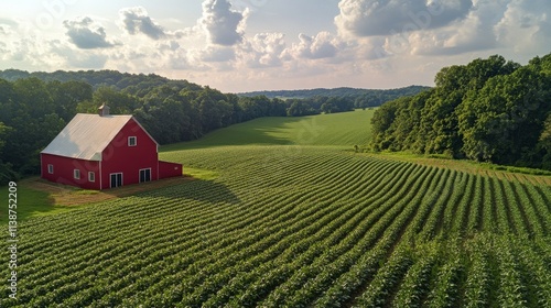 Red barn amidst lush green farmland in a serene rural landscape during early ...