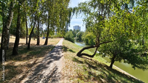 Birch trees and other trees grow on the grassy banks of the water channel, and buildings stand. A concrete tile path is laid nearby. Sunny autumn weather and blue sky with clouds
