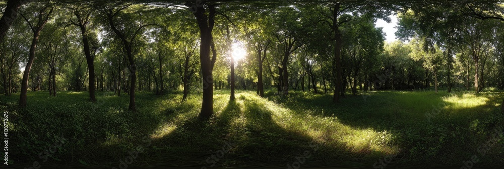 Fototapeta premium Lush Deciduous Forest: Summer Sunshine Filtering Through Vibrant Green Canopy, Inviting Walks on Soft Grass