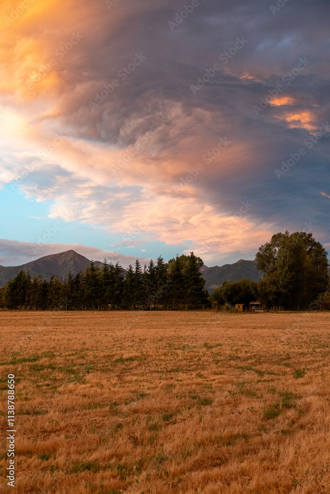 Obraz premium sunset over the field