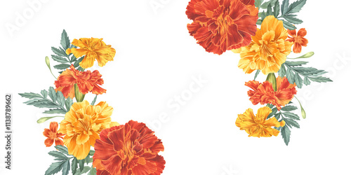 Marigolds, red and yellow buds arranged in a semicircle. Watercolor illustration. Floral arrangement of garden flowers. Horizontal frame made of tegetes for wedding invitation, card, banner
