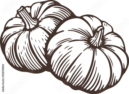 Pumpkin squash ripe vegetable recipe menu two pair thanksgiving halloween engraving hand drawn illustration black white isolated vintage line art sketch silhouette graphic style poster label web