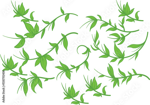 liana plant vector